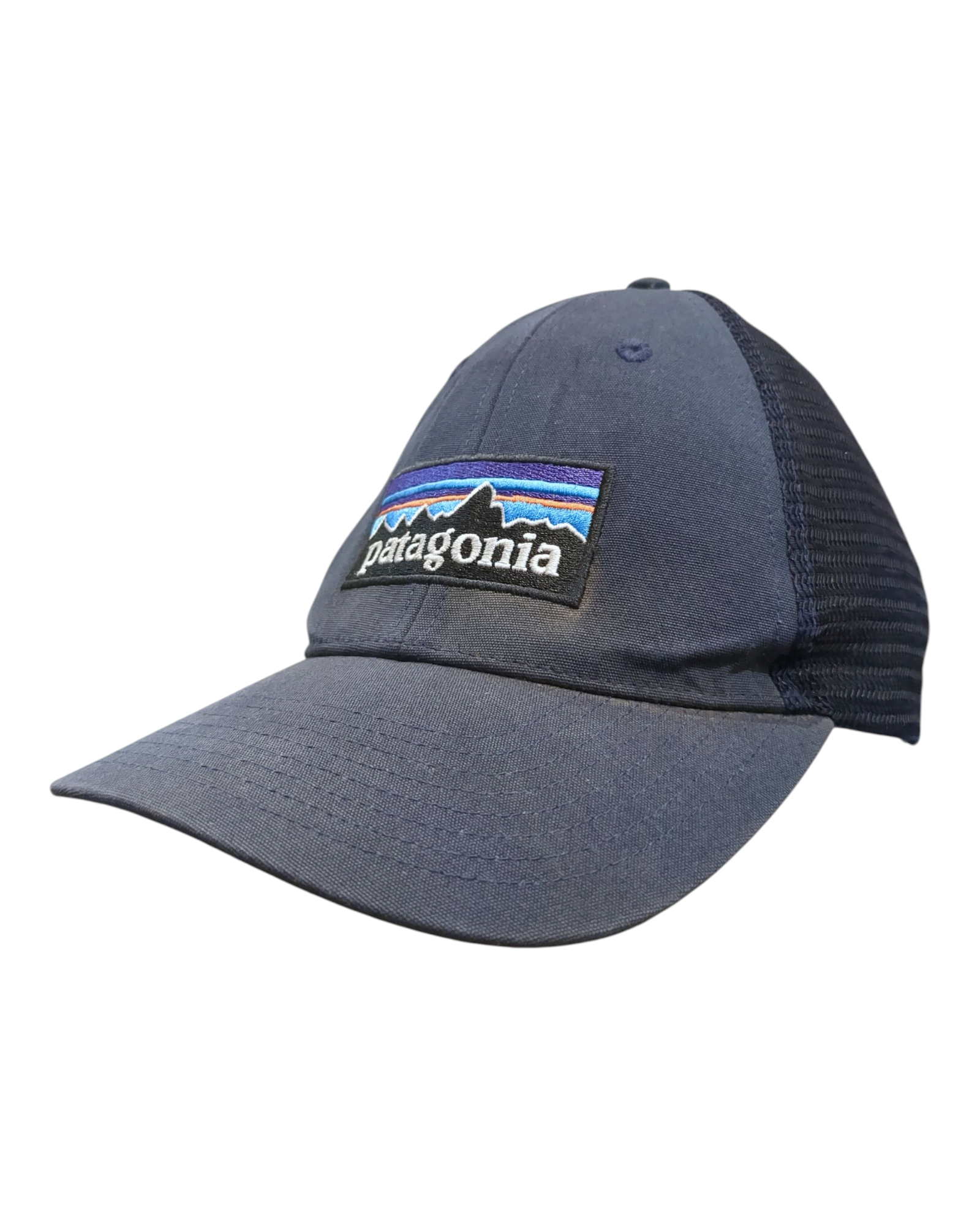 Patagonia P-6 Logo LoPro Trucker Cap