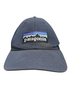 Patagonia P-6 Logo LoPro Trucker Cap