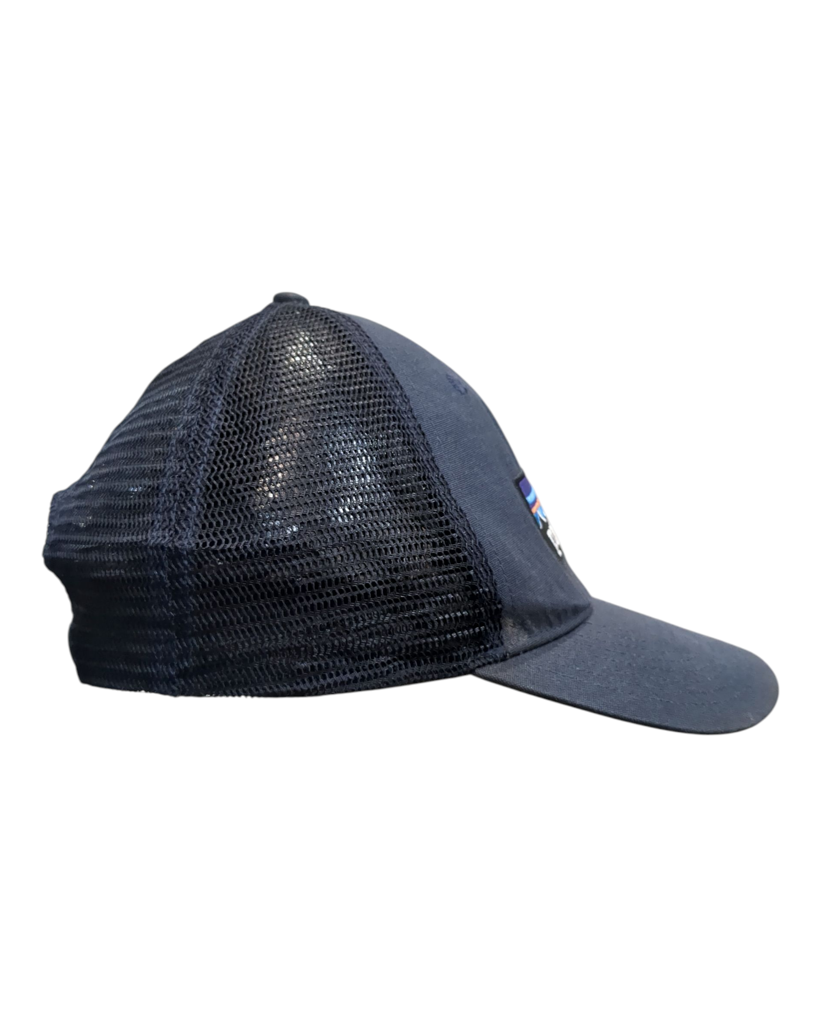 Patagonia P-6 Logo LoPro Trucker Cap