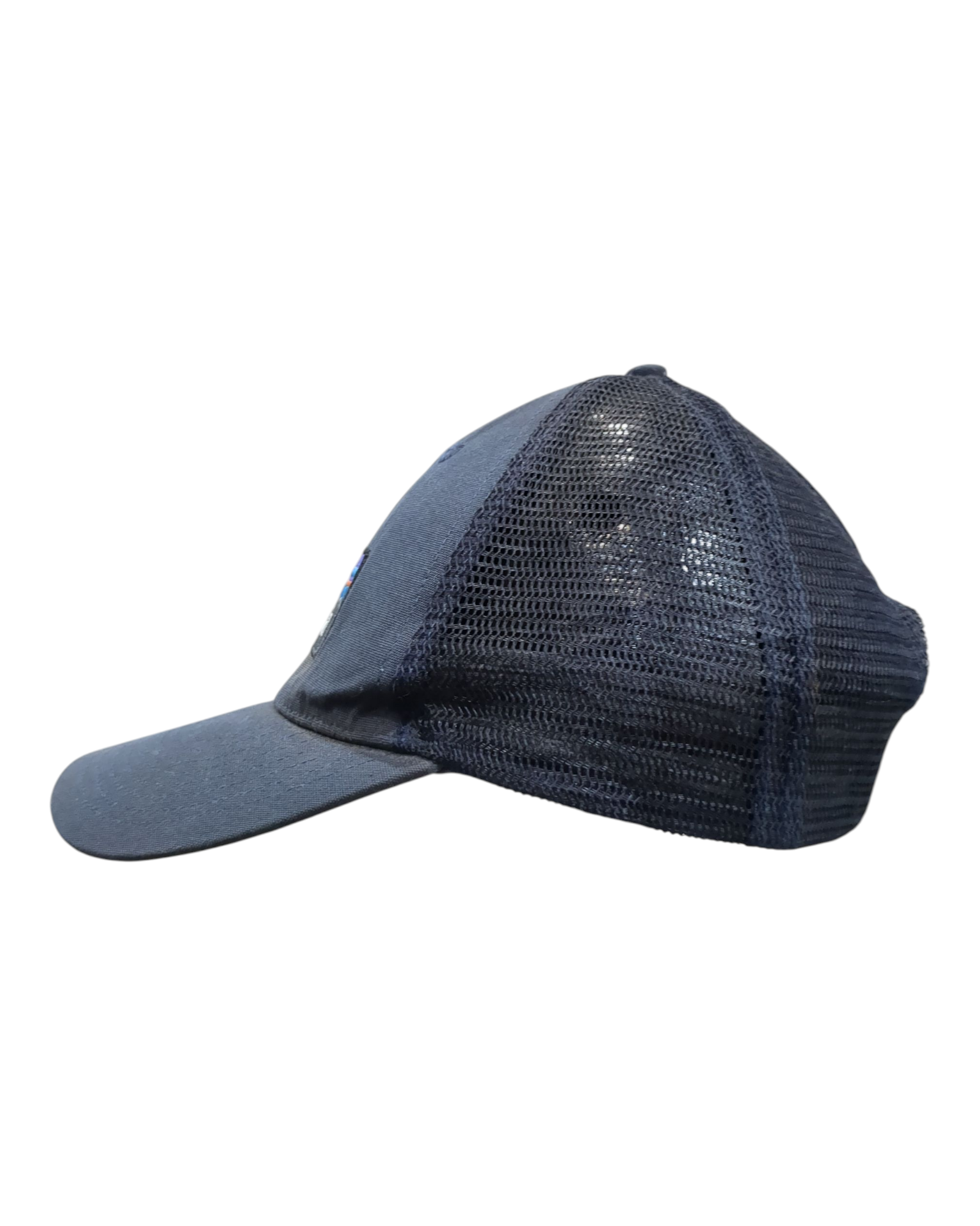 Patagonia P-6 Logo LoPro Trucker Cap