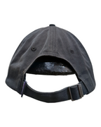 Patagonia P-6 Label Trad Cap