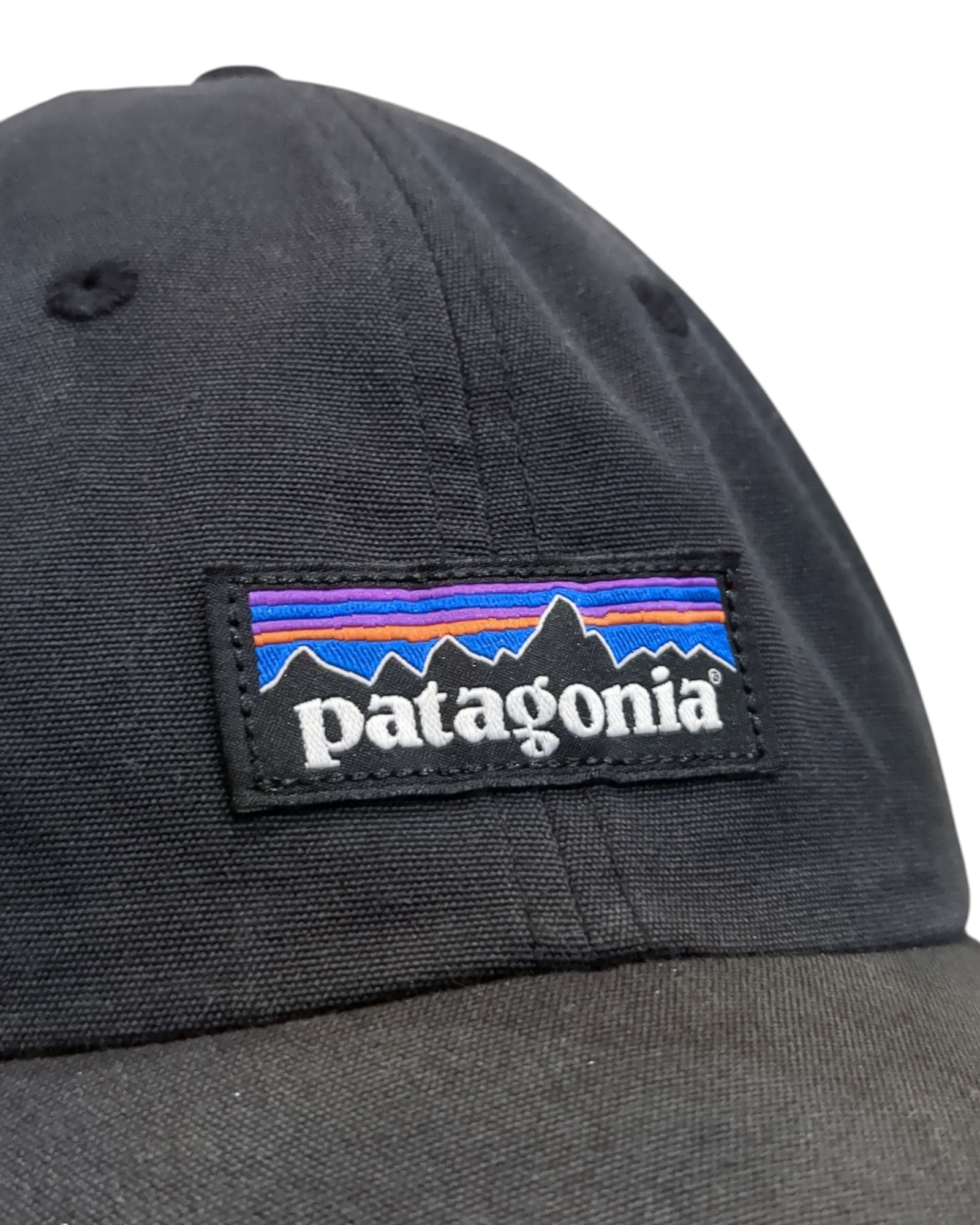 Patagonia P-6 Label Trad Cap
