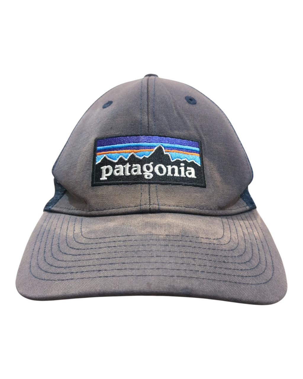 Patagonia P-6 Logo LoPro Trucker Cap