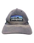 Patagonia P-6 Logo LoPro Trucker Cap