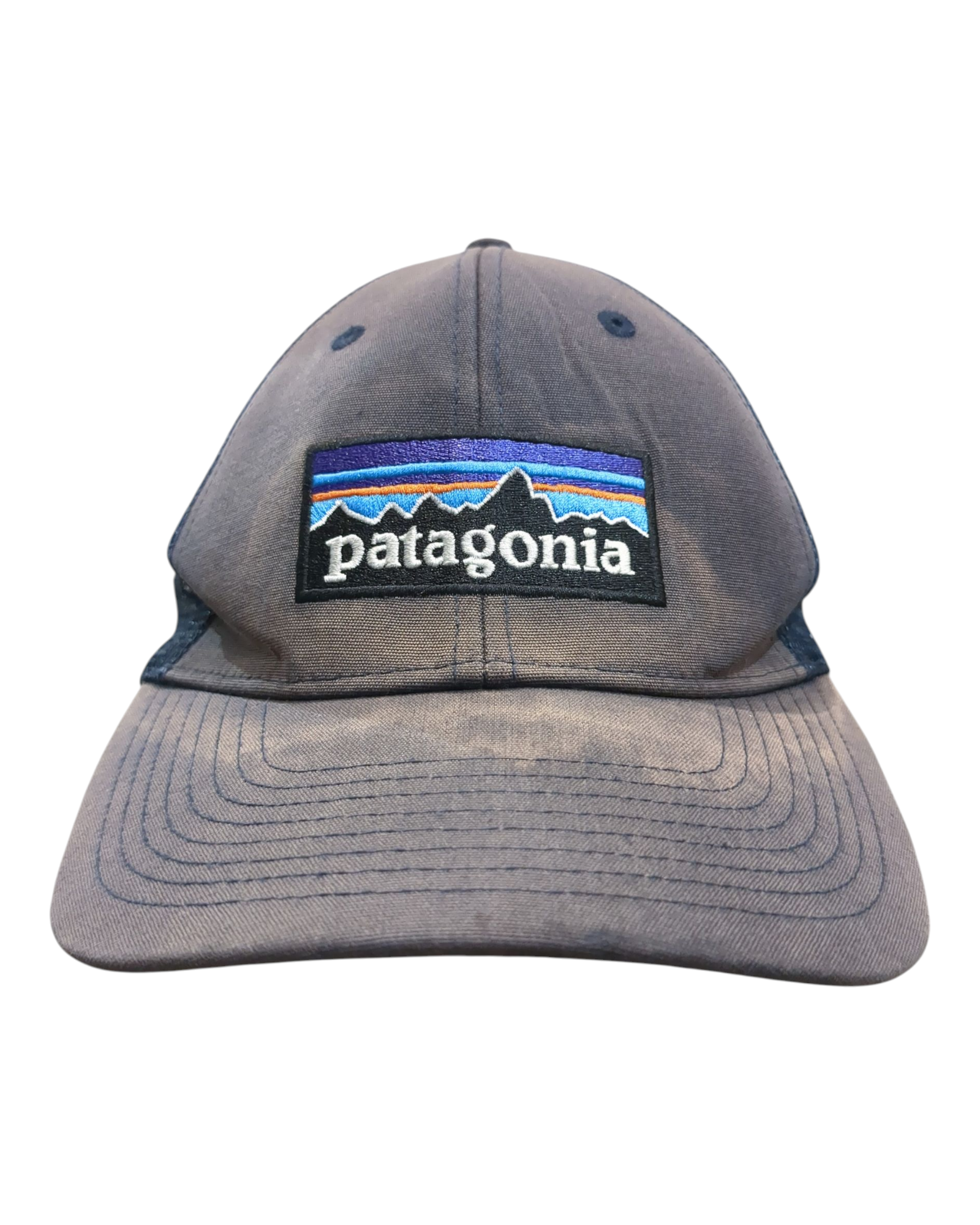 Patagonia P-6 Logo LoPro Trucker Cap