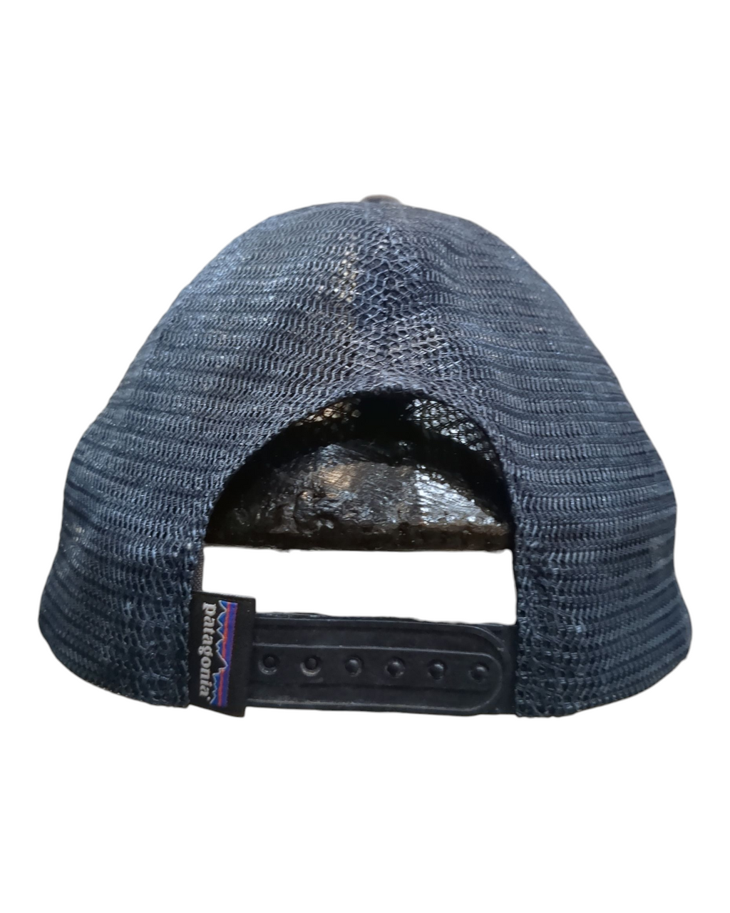 Patagonia P-6 Logo LoPro Trucker Cap