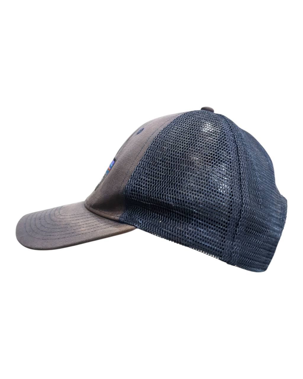 Patagonia P-6 Logo LoPro Trucker Cap
