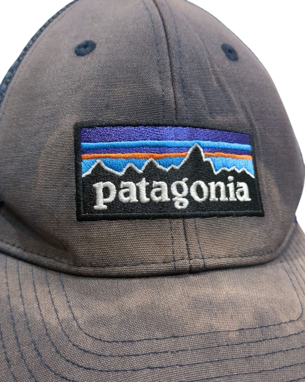 Patagonia P-6 Logo LoPro Trucker Cap
