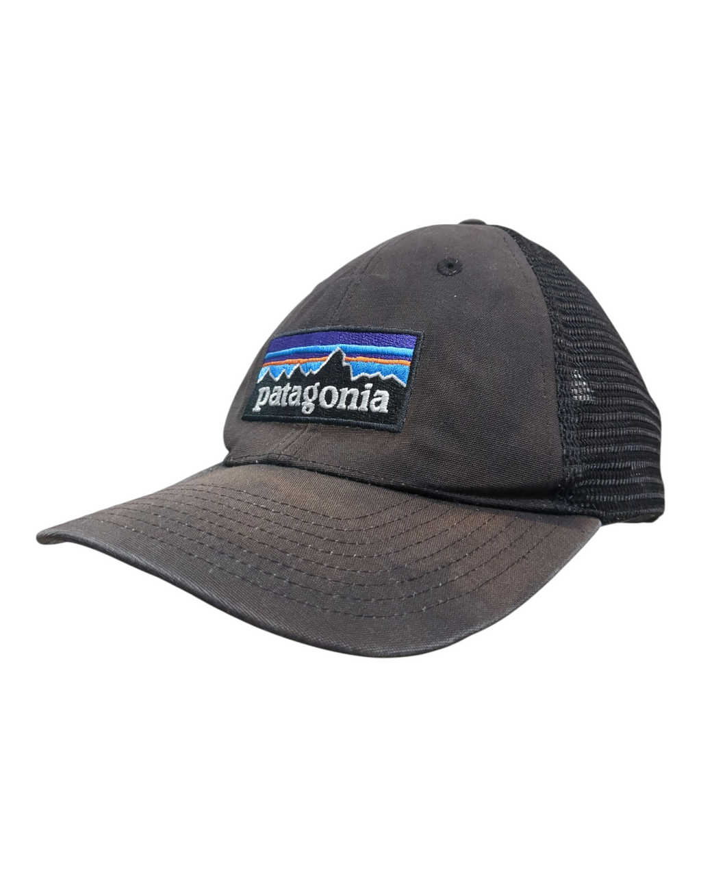 Patagonia P-6 Logo LoPro Trucker Cap