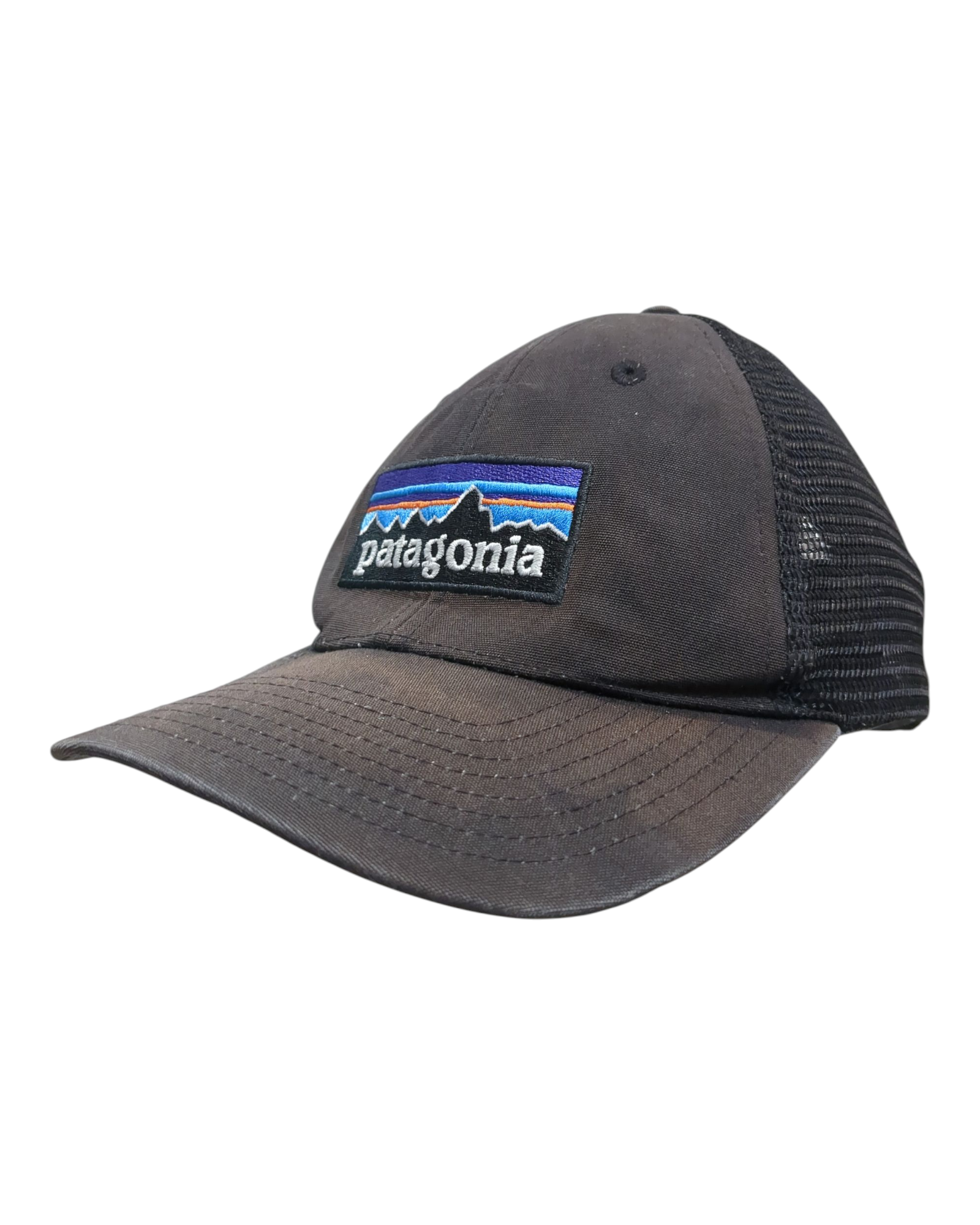Patagonia P-6 Logo LoPro Trucker Cap