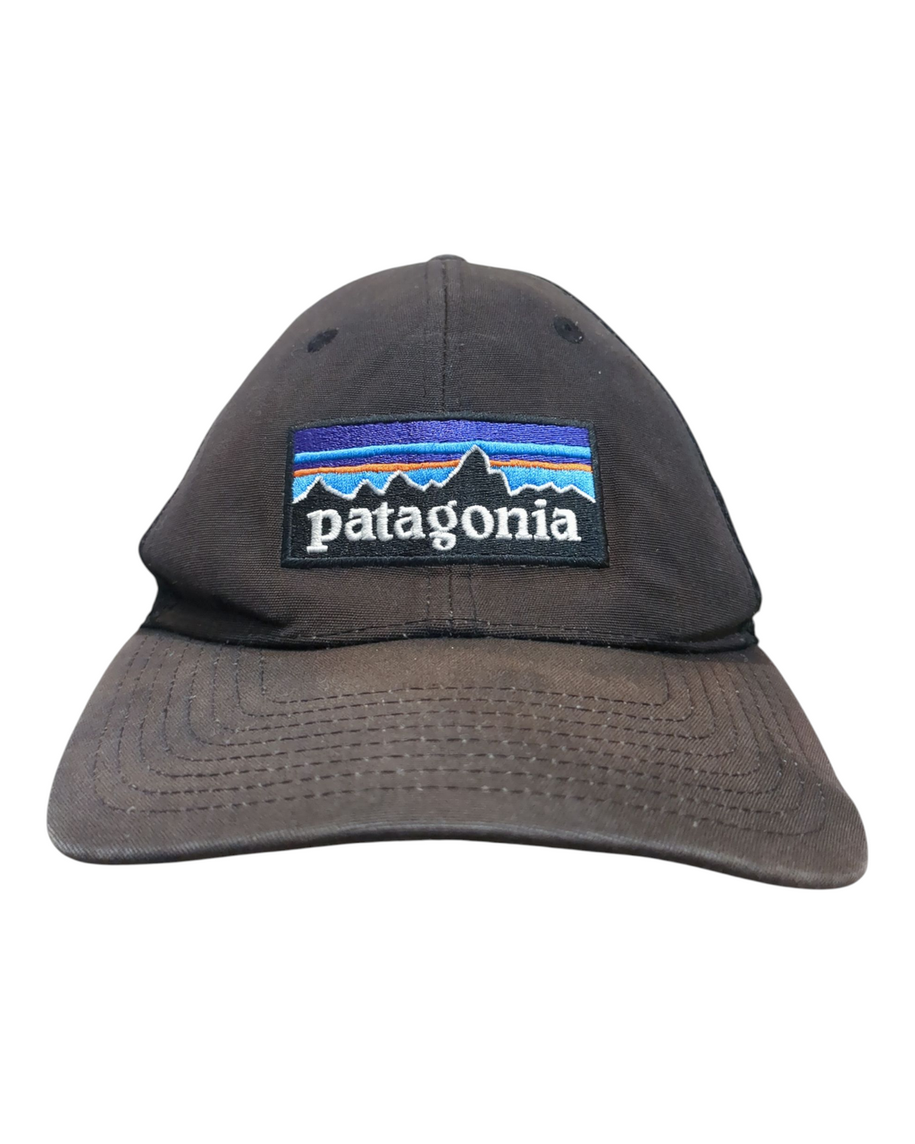 Patagonia P-6 Logo LoPro Trucker Cap