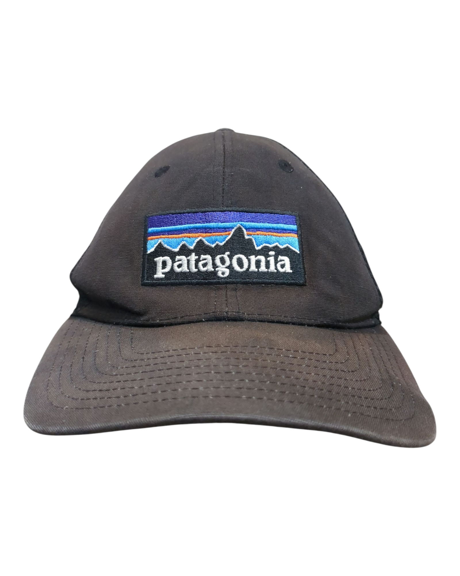Patagonia P-6 Logo LoPro Trucker Cap