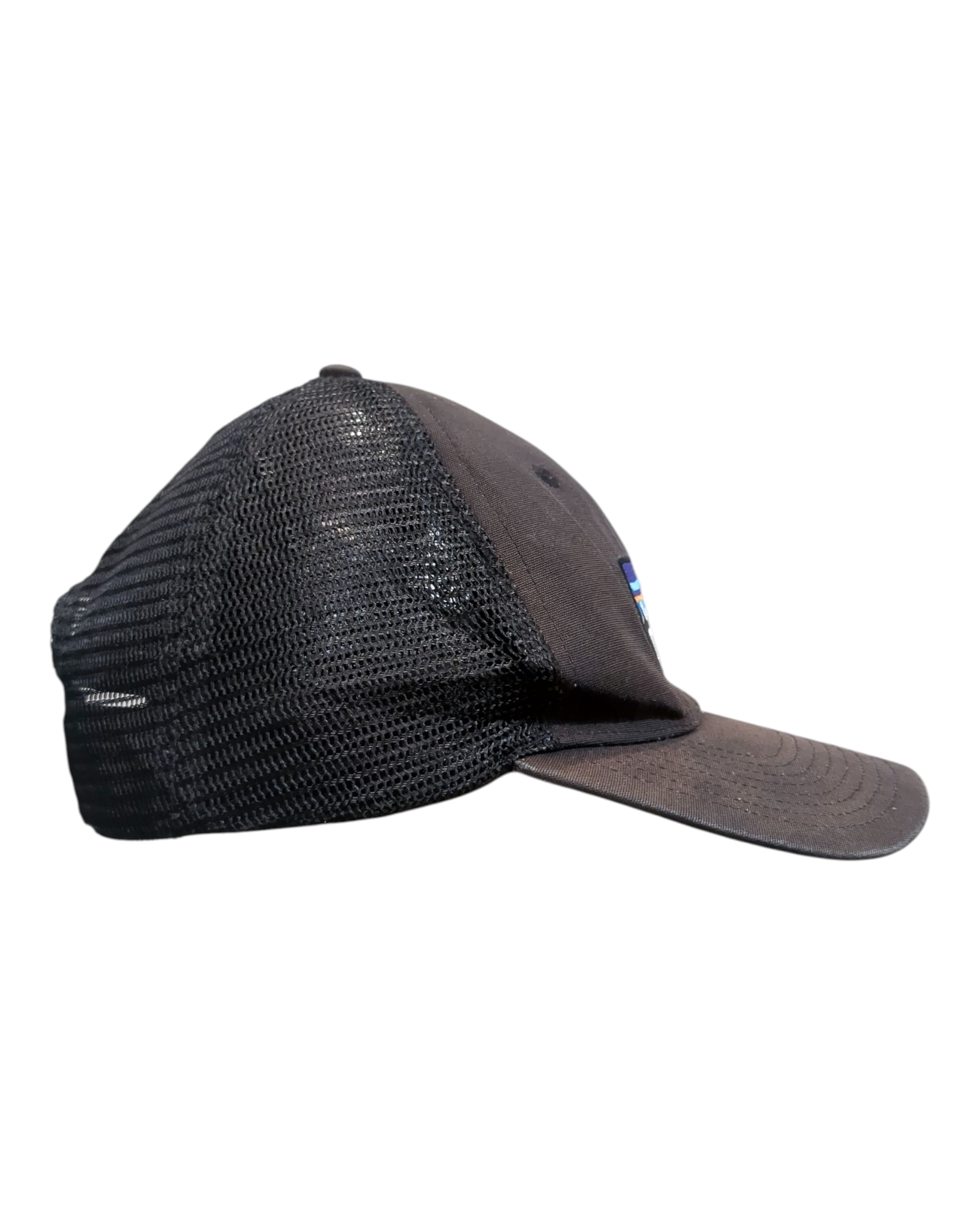 Patagonia P-6 Logo LoPro Trucker Cap