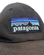 Patagonia P-6 Logo LoPro Trucker Cap