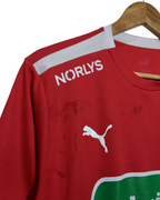 2022 Denmark Handball Puma Training Shirt - (M)