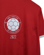 2022 Denmark Handball Puma Training Shirt - (M)