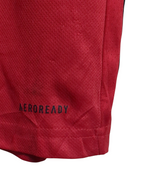 2020-21 Belgium Adidas Home Shirt - (L)