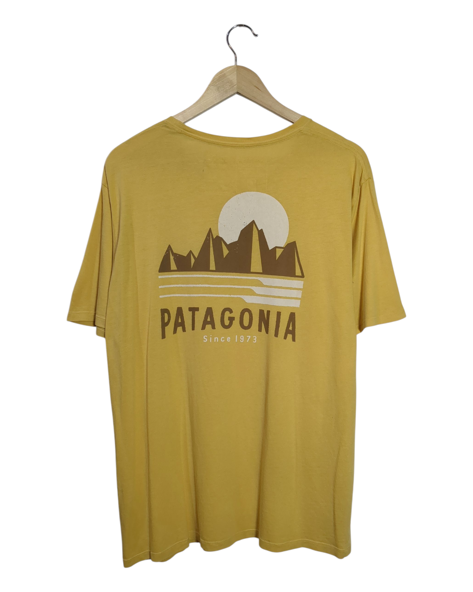 Patagonia Tube View Organic Tee - (L)