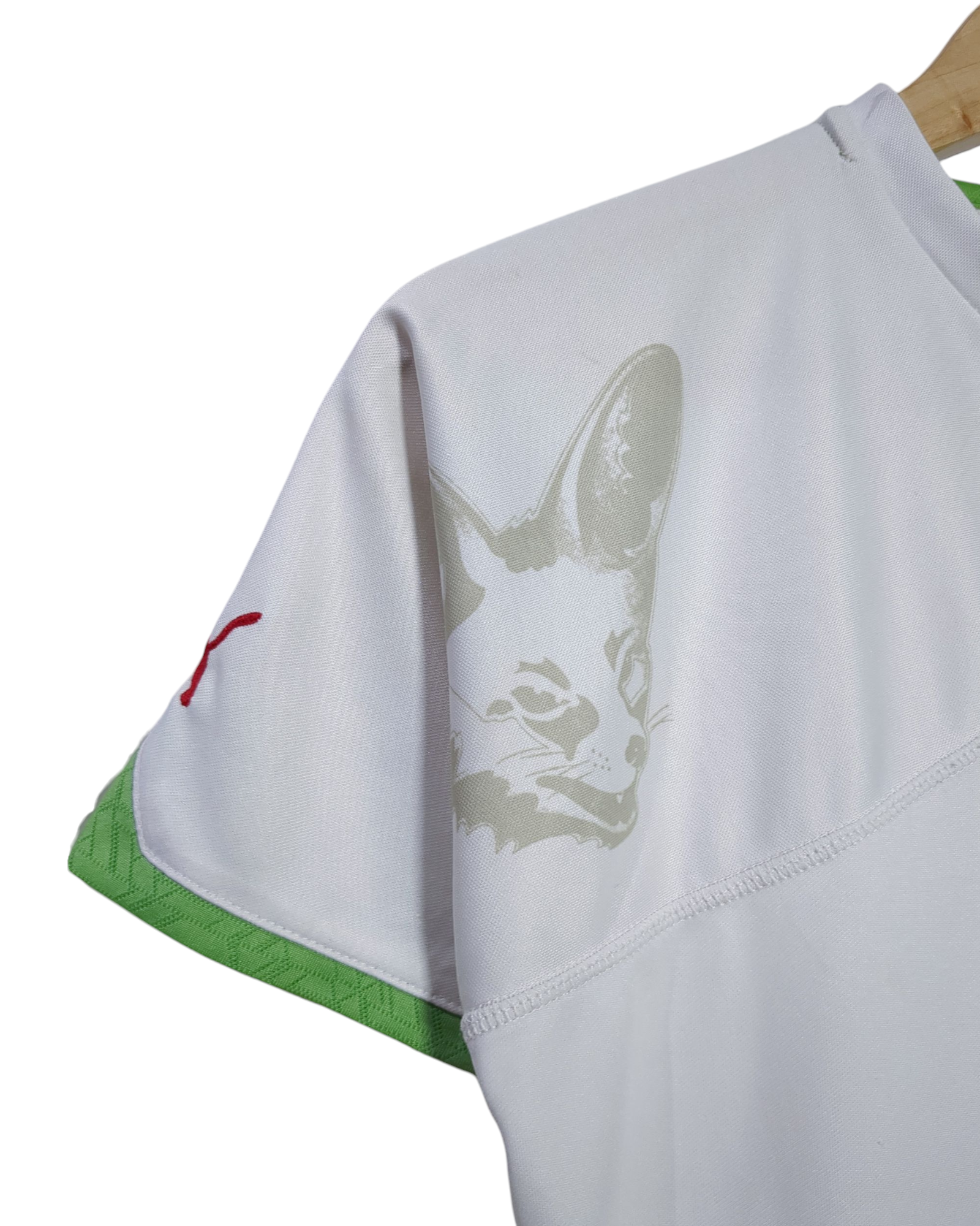 2010-11 Algeria Puma Home Shirt - (L.Boys)