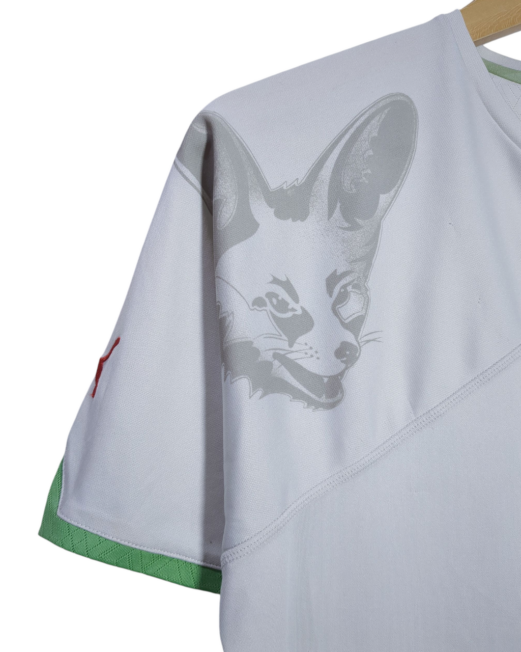 2010-11 Algeria Puma Home Shirt - (S)