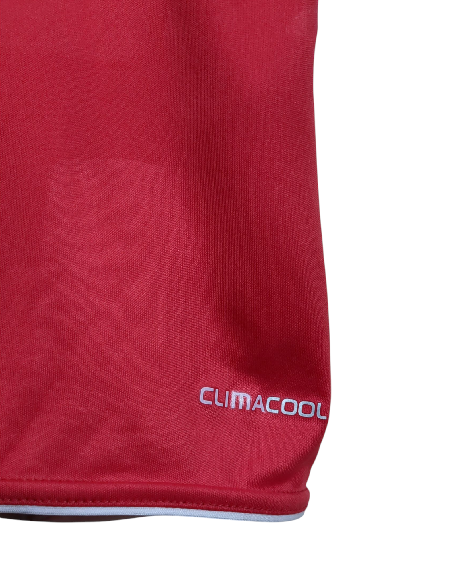 2010-11 Benfica Adidas Home Shirt - (L)