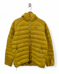Arc'teryx 2013 Thorium AR Hoody - (L)