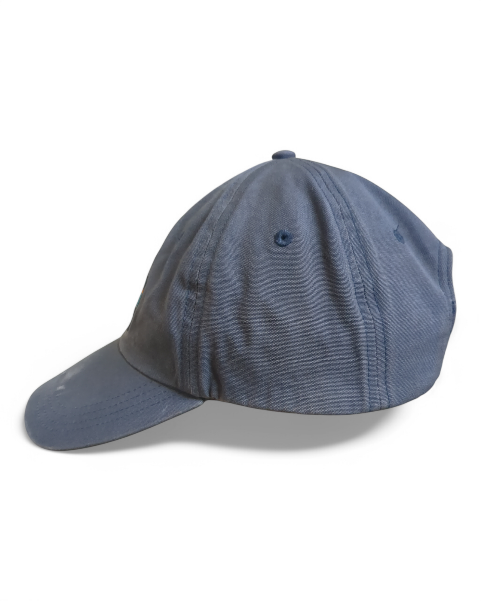 Patagonia Fitz Roy Horizons Trad Cap