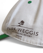 Green Our World Industries CO2 Cap
