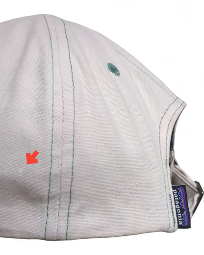 Patagonia P-6 Label Trad Cap