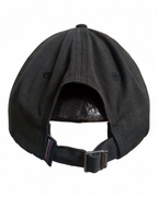 Patagonia P-6 Label Trad Cap