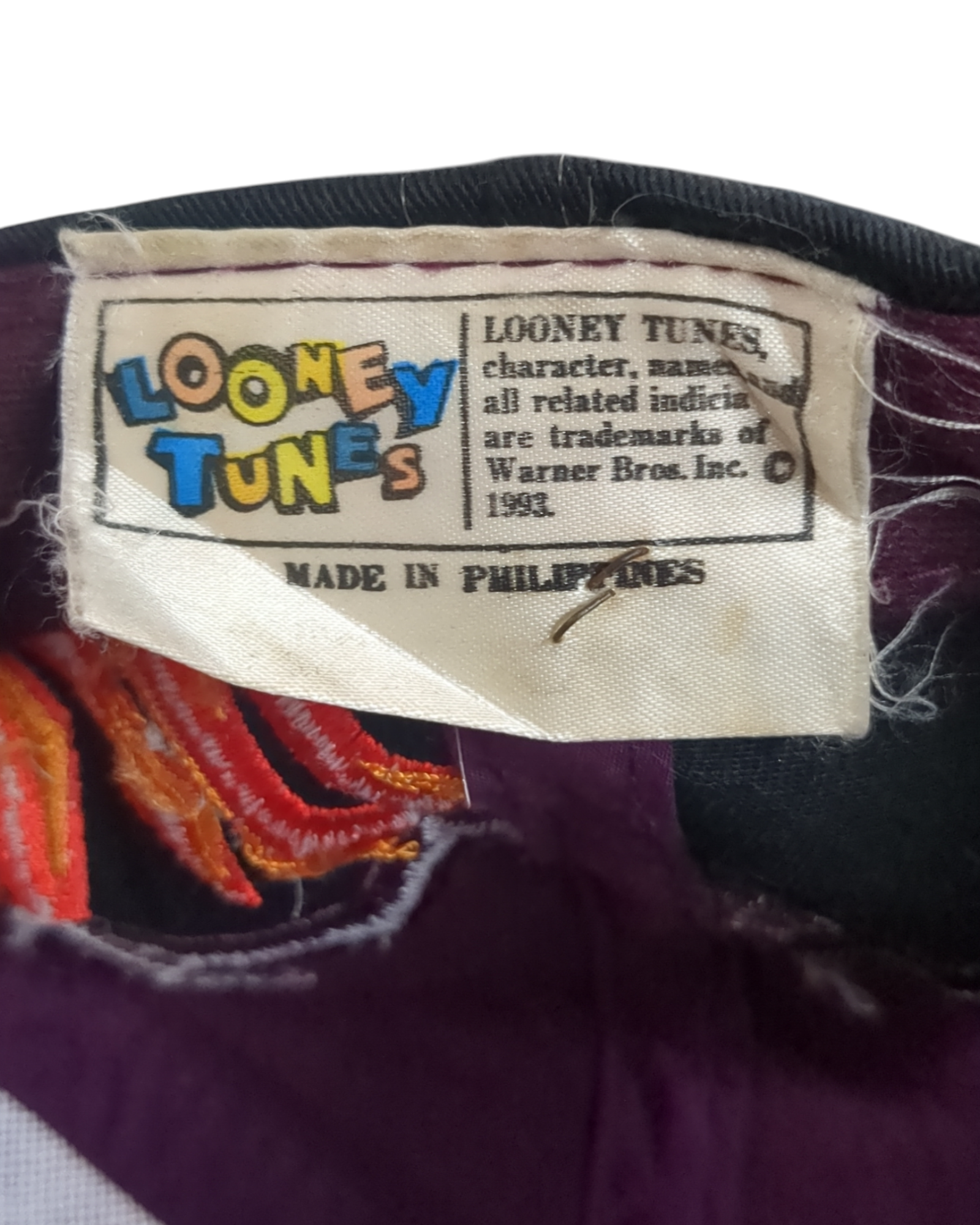 Looney Tunes 90s Taz Snapback Hat